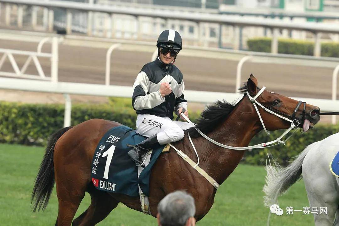 香港馬會，香港馬會賽馬活動盛況