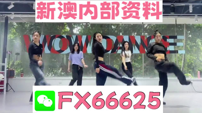 新澳精準資料大放送，免費提供的價值寶藏，新澳精準資料大放送，免費價值寶藏揭秘