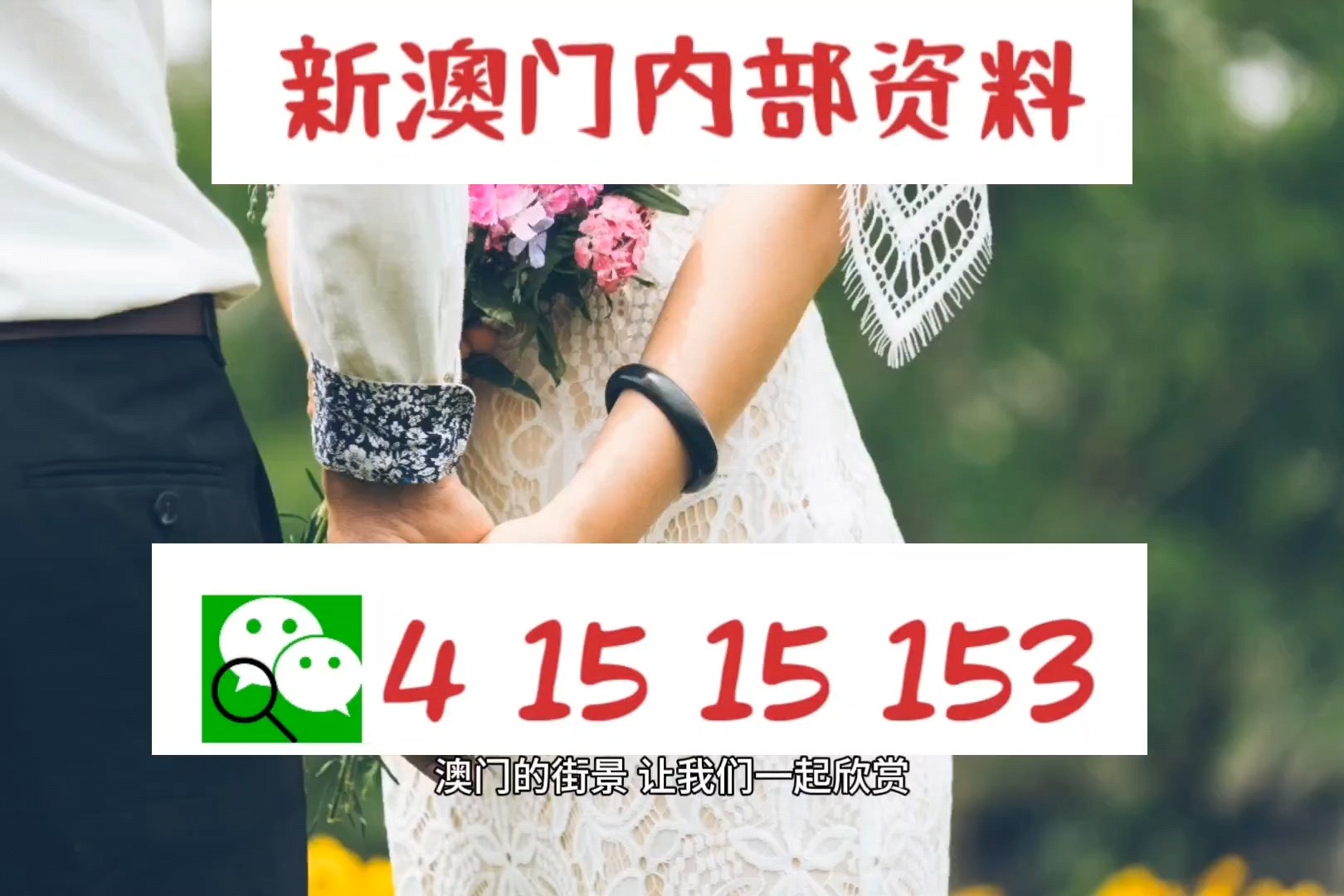 2025新澳正版資料最新更新，2025新澳正版資料最新更新匯總
