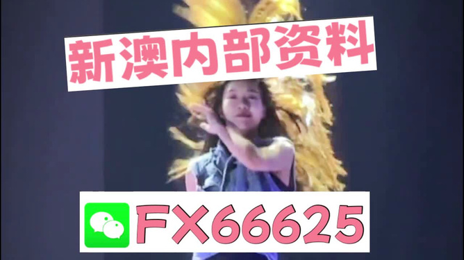 新澳門內(nèi)部一碼精準(zhǔn)公開，探索前沿信息的魅力，澳門最新一碼精準(zhǔn)公開，探索前沿魅力的無限可能