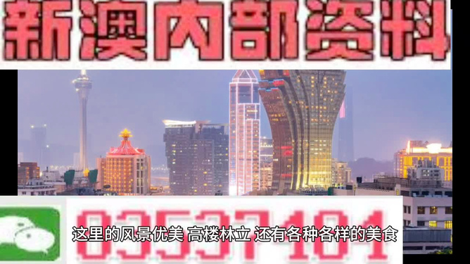 新澳新澳門(mén)正版資料，探索與解讀，新澳新澳門(mén)正版資料的探索與解讀