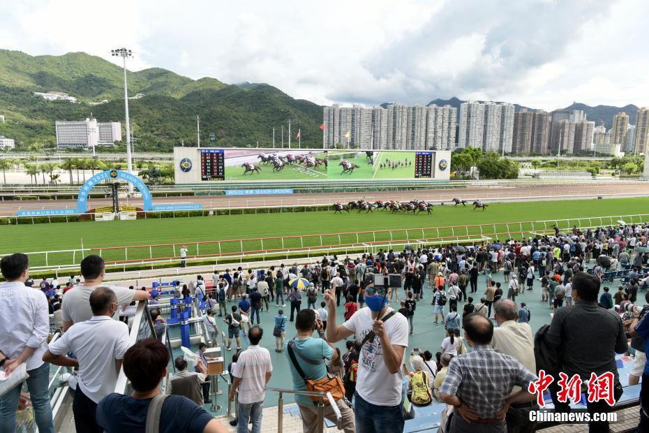 揭秘香港今晚特馬開什么，熱門語言解讀彩票奧秘，香港今晚特馬揭秘，彩票奧秘與熱門語言解讀