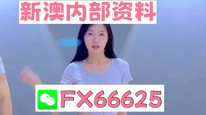 新澳門精準資料大全管家婆料，澳門精準資料大全，管家婆料全解析