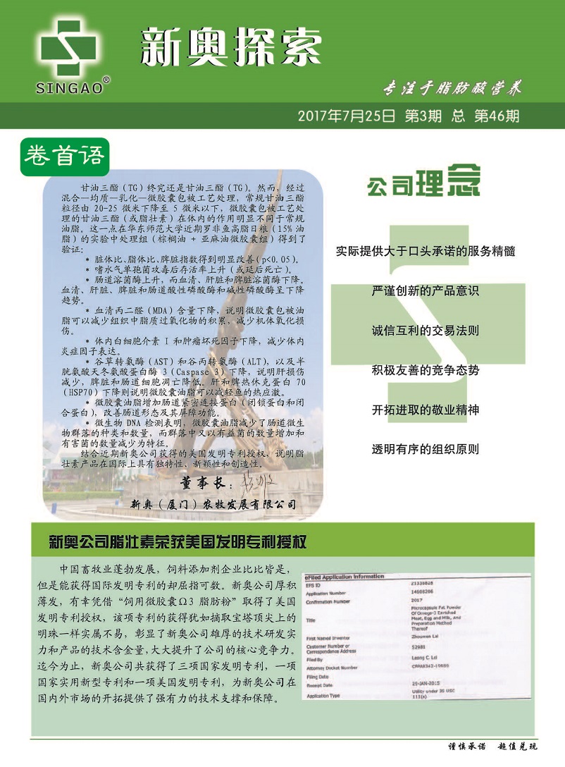 2025新澳精準(zhǔn)正版資料，2025新澳正版資料解析