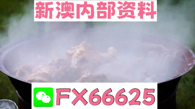 新澳全年免費資料大全，一網(wǎng)打盡各類資源，新澳全年免費資料大全，各類資源一網(wǎng)打盡