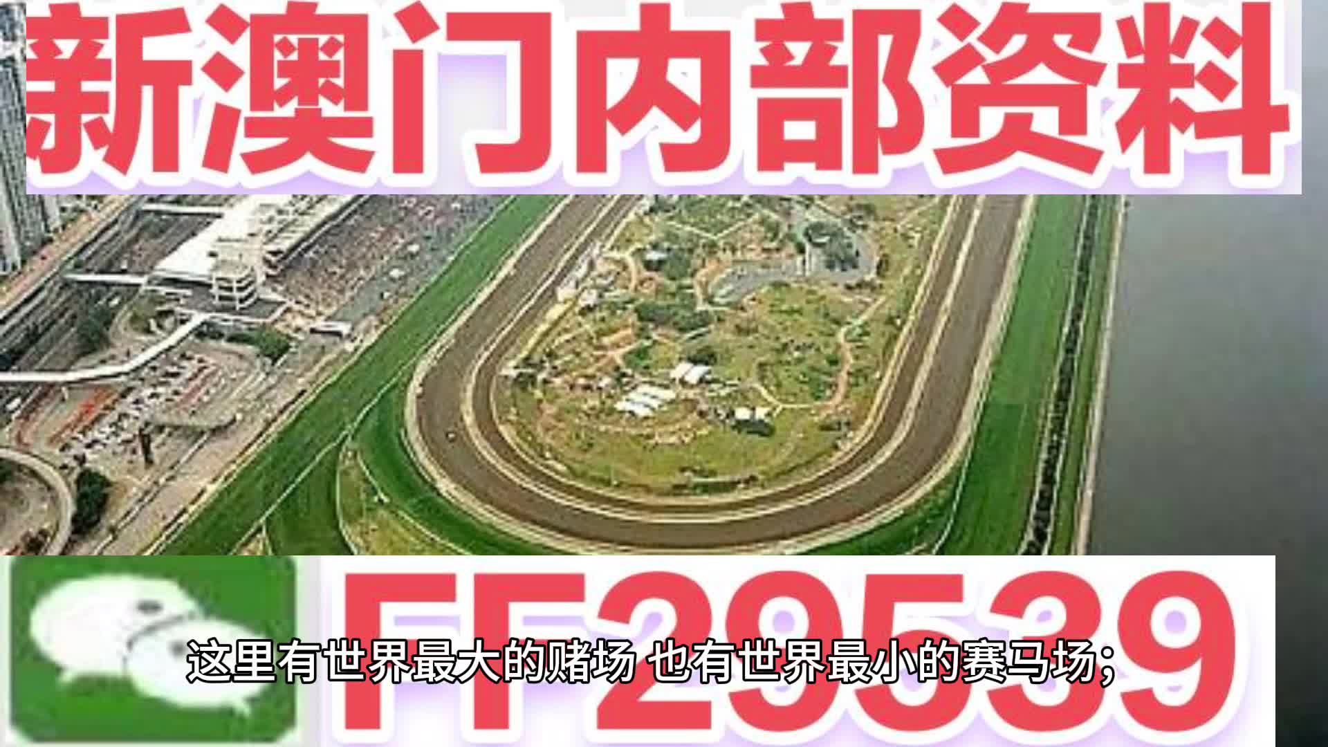 新澳門最精準(zhǔn)正最精準(zhǔn)龍門2025,未來解答解析說明_24