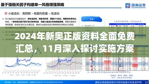 新澳2025精準(zhǔn)正版免費資料,效率資料解釋落實_44