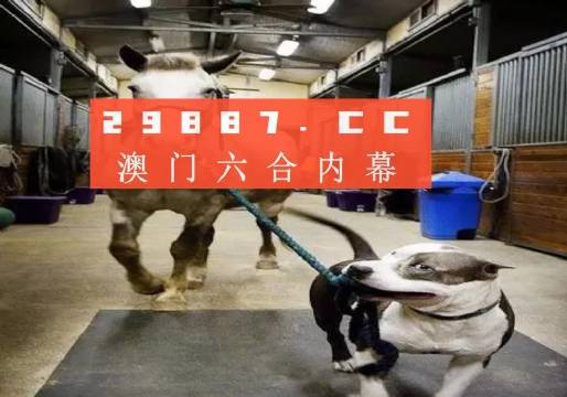 澳門一肖一碼一必中，同舟共濟向前行，澳門一肖一碼必中，同舟共濟向前行