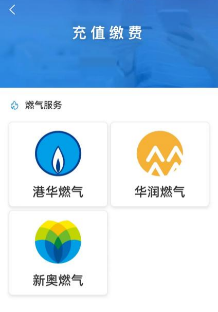 新奧門資料大全正版資料六肖——深度解析與探索，新奧門正版資料六肖深度探索與解析