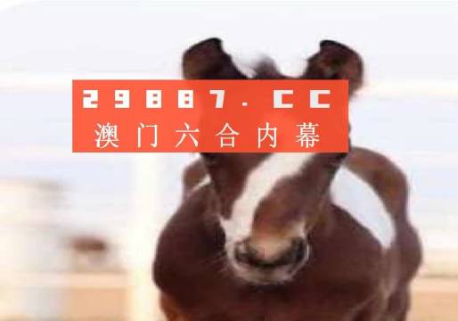 新澳門一碼一碼100準(zhǔn)確，澳門彩票一碼精準(zhǔn)預(yù)測(cè)，揭秘準(zhǔn)確率背后的秘密