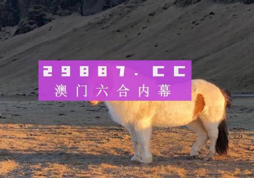 揭秘澳門今晚開碼料，展望2024年的新機(jī)遇與挑戰(zhàn)，澳門未來(lái)展望，揭秘今晚開碼料與迎接新機(jī)遇的挑戰(zhàn)