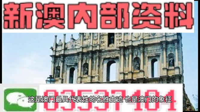 新澳門資料大全正版資料2025年免費下載,家野中特，澳門正版資料大全，免費下載2025年家野中特資料獨家匯總