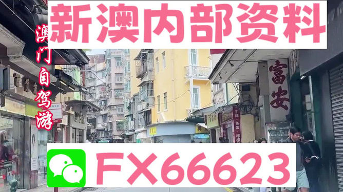 新澳精準(zhǔn)資料免費(fèi)提供，探索510期奧秘，新澳精準(zhǔn)資料探索510期奧秘，免費(fèi)公開(kāi)揭秘