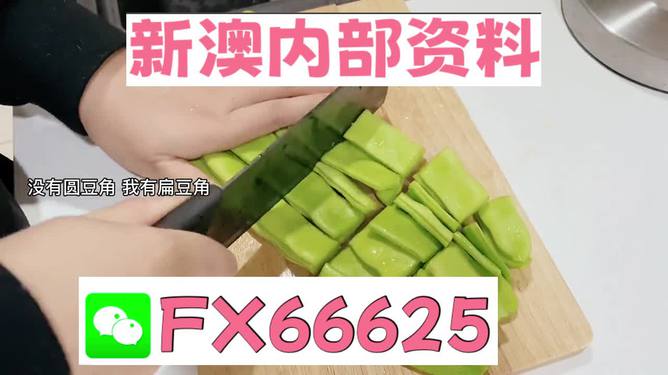 新澳準(zhǔn)資料大放送，免費獲取優(yōu)質(zhì)資源指南，新澳準(zhǔn)資料大放送，免費優(yōu)質(zhì)資源指南