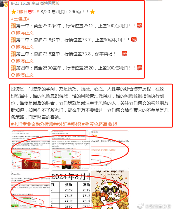 澳門管家婆100%精準(zhǔn),收益成語分析定義_17