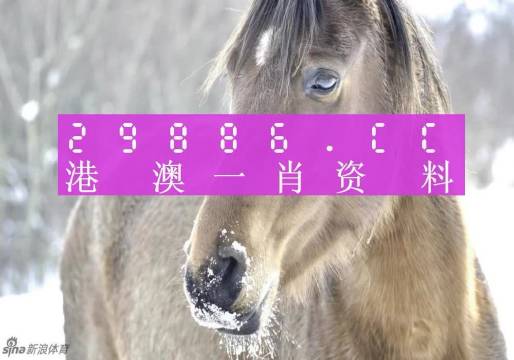 澳門一肖一碼百分百精準(zhǔn)預(yù)測——揭秘彩票背后的秘密，澳門彩票預(yù)測揭秘，一肖一碼百分百精準(zhǔn)背后的秘密