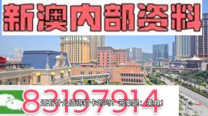 2025澳門正版資料料免費查詢,動態(tài)詞語解釋落實_28