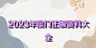 澳門正版資料，探索2025免費(fèi)資料的無(wú)限可能，澳門正版資料揭秘，探索2025免費(fèi)資料的無(wú)限潛力
