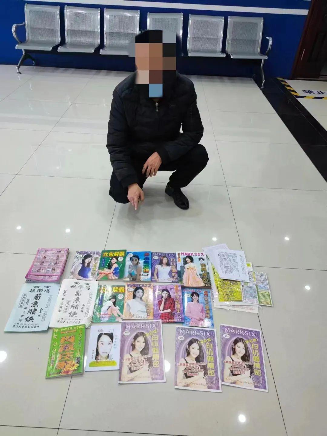 港澳六開彩開獎結(jié)果歷史數(shù)據(jù)分析報告，港澳六開彩開獎結(jié)果歷史數(shù)據(jù)分析報告摘要