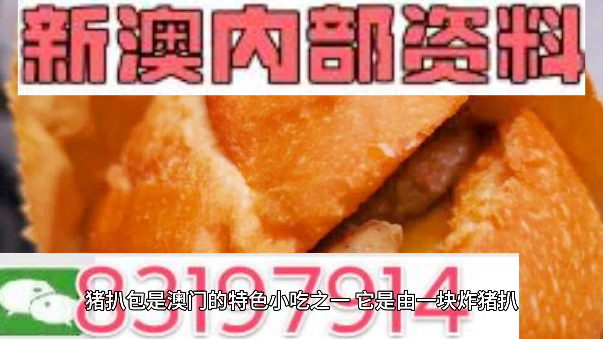 2025新澳精準(zhǔn)資料大全，2025新澳精準(zhǔn)資料大全手冊