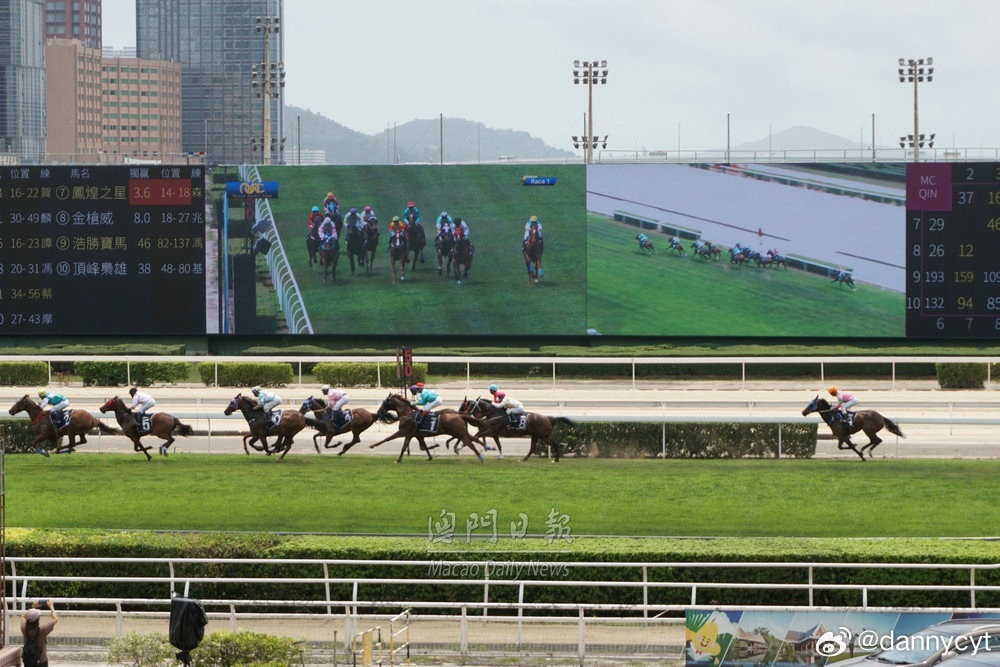 2025新澳門今晚開特馬直播，澳門特馬直播預(yù)告，揭秘今晚開獎懸念