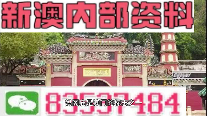 澳門三肖三碼精準(zhǔn)100%黃大仙，揭秘與解讀，澳門三肖三碼精準(zhǔn)解讀與揭秘，黃大仙預(yù)測(cè)100%準(zhǔn)確性揭秘