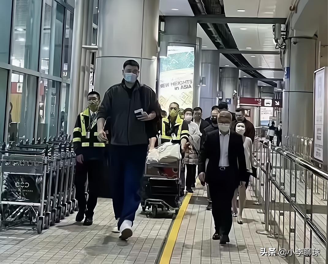 今晚澳門開一肖四不像圖片，揭秘背后的神秘面紗，揭秘澳門今晚開一肖四不像圖片背后的神秘面紗