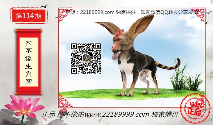 四不像正版資料