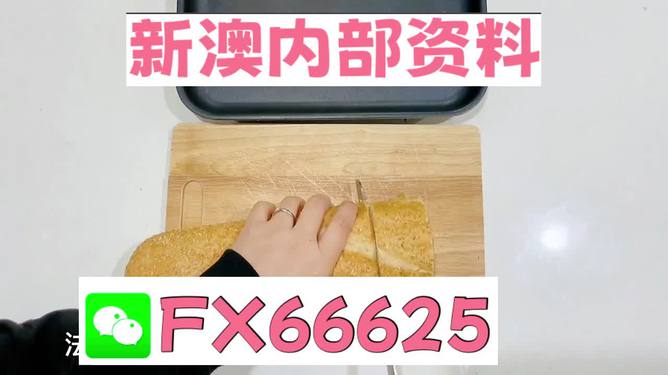 新澳門內(nèi)部一碼精準(zhǔn)公開，探索前沿科技的魅力，澳門前沿科技揭秘，一碼精準(zhǔn)公開探索科技魅力