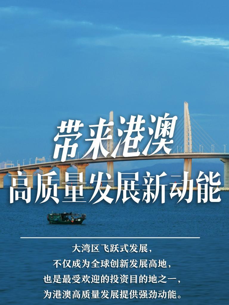揭秘2025新澳門精準(zhǔn)免費大全，揭秘2025新澳門精準(zhǔn)免費大全資料全解析