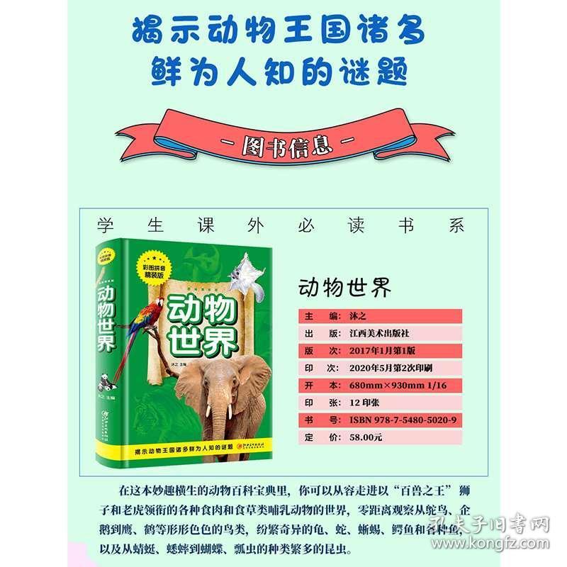 澳門正版資料大全資料生肖卡的奇幻世界，澳門正版資料大全，生肖卡的奇幻樂園