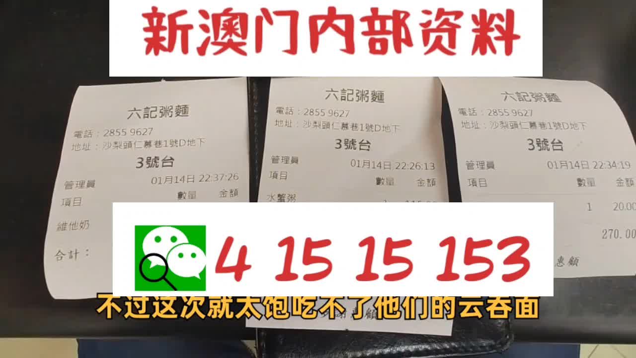 2025新澳精準資料大全，2025新澳精準資料大全手冊