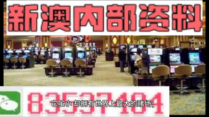 澳門正版精準免費大全，一網(wǎng)打盡各類資訊，澳門正版精準資訊大全，一網(wǎng)打盡各類最新資訊