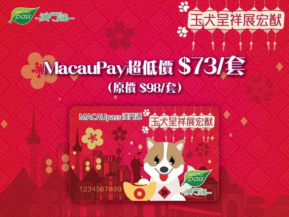 澳門正版資料大全資料生肖卡，澳門正版資料大全，生肖卡全收錄