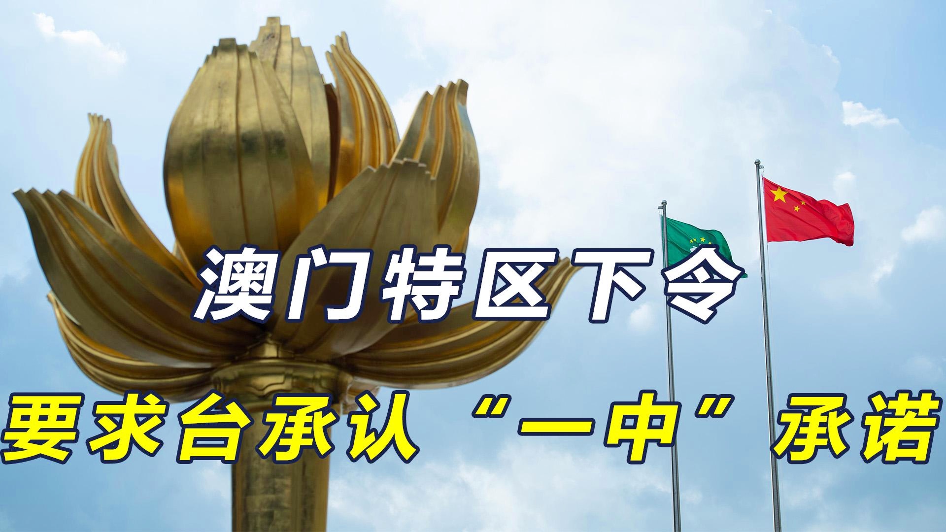 澳門一碼一肖一待一中今晚，澳門今晚一碼一肖一待一中揭曉