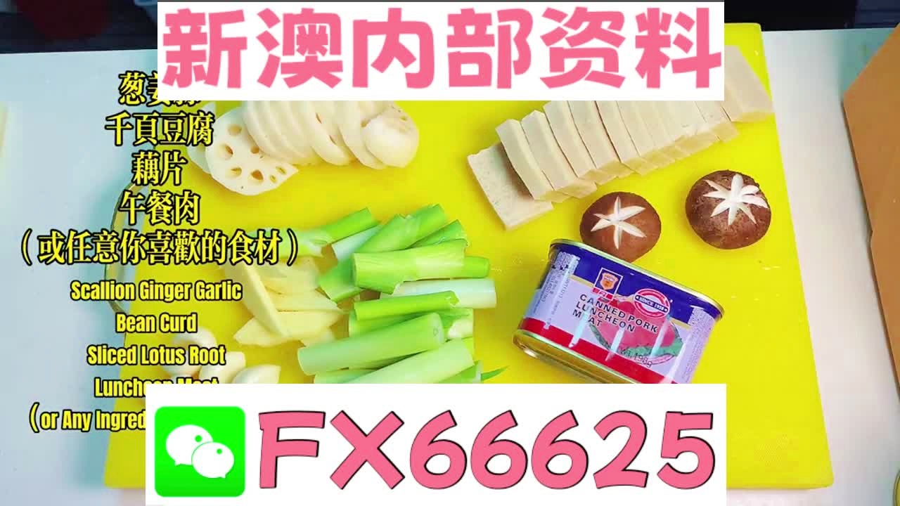 深度解析，2025新澳精準(zhǔn)資料大全，深度解析，2025新澳精準(zhǔn)資料大全概覽