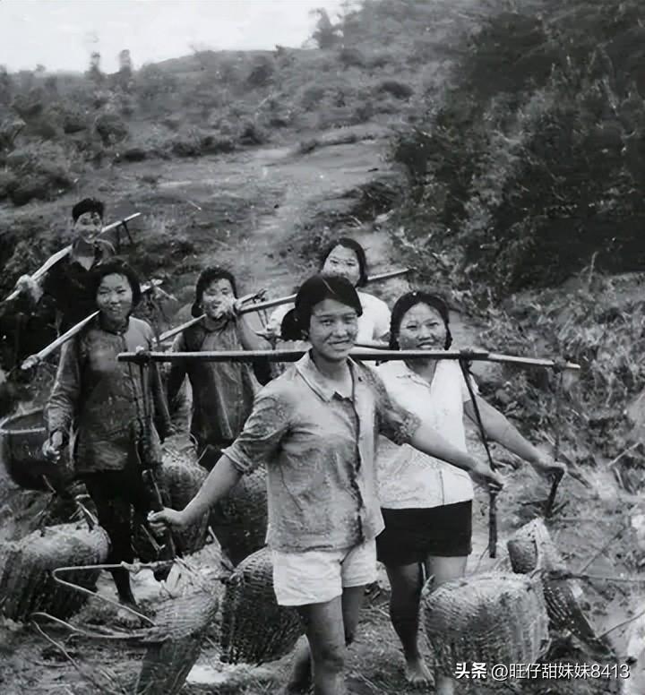 免費(fèi)下載49圖庫(kù)最新版本，全面解析與指南，免費(fèi)下載圖庫(kù)最新版本，全面解析與使用指南