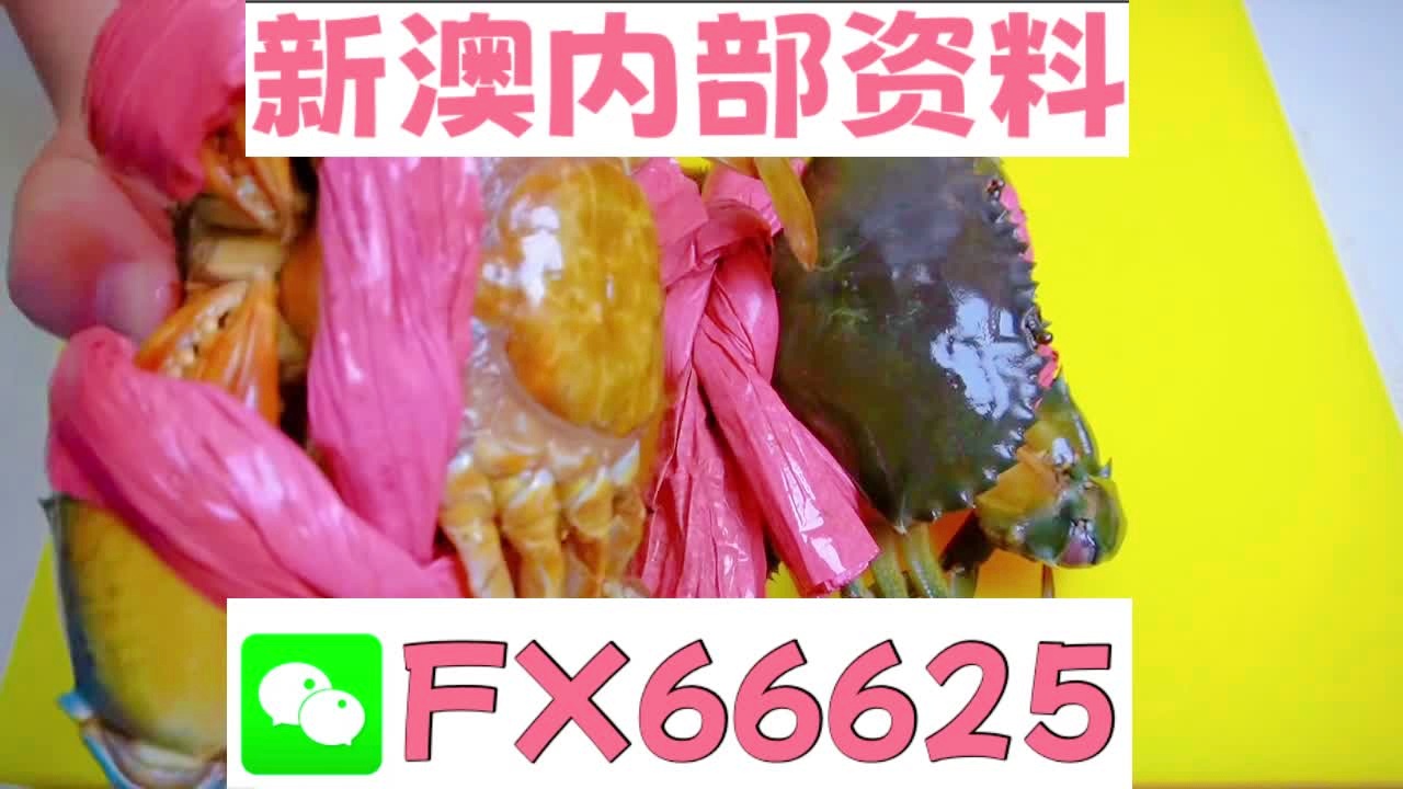 揭秘2025新澳精準(zhǔn)資料大全，深度解讀與洞察，揭秘2025新澳精準(zhǔn)資料大全，深度解讀與獨(dú)家洞察