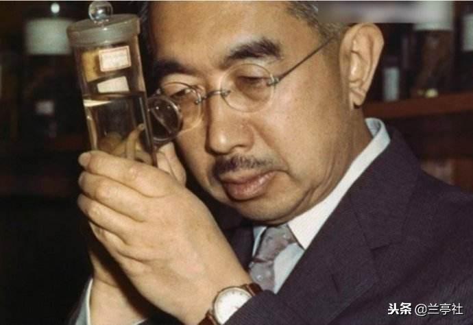 4949資料正版免費(fèi)大全的使用方法詳解，4949資料正版免費(fèi)大全使用方法詳解指南
