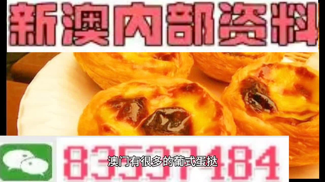 新澳今天最新資料解析，新澳今日最新資料深度解析