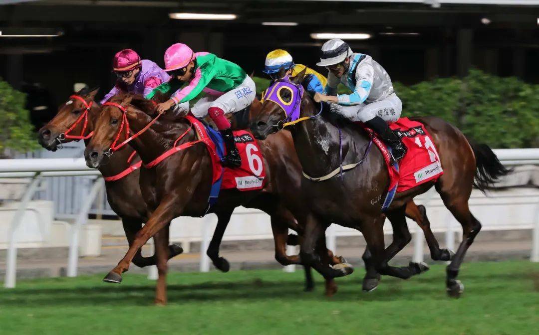 hkjc香港賽馬會，hkjc香港賽馬會精彩瞬間