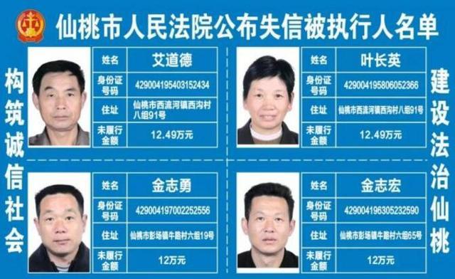 揭秘新奧門49碼資料，一網(wǎng)打盡最新資訊，澳門49碼最新資訊大揭秘，一網(wǎng)打盡最新更新動(dòng)態(tài)