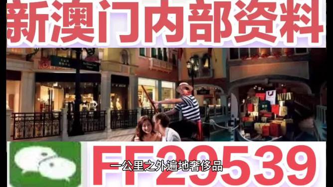 2025澳門特馬今晚開獎號碼是多少呢，關(guān)于澳門特馬今晚開獎號碼的預(yù)測與分析