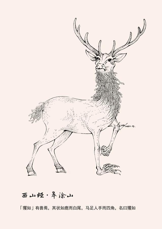 今期四不像正確一肖解密與解析，四不像生肖解密，揭秘今期正確一肖的秘密