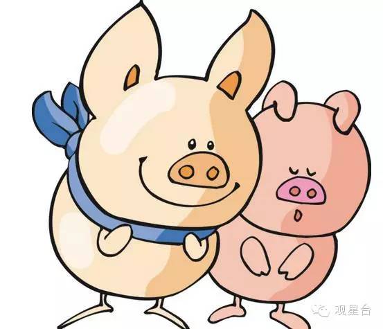香港二四六開獎結果今天查詢，香港二四六今日開獎結果查詢