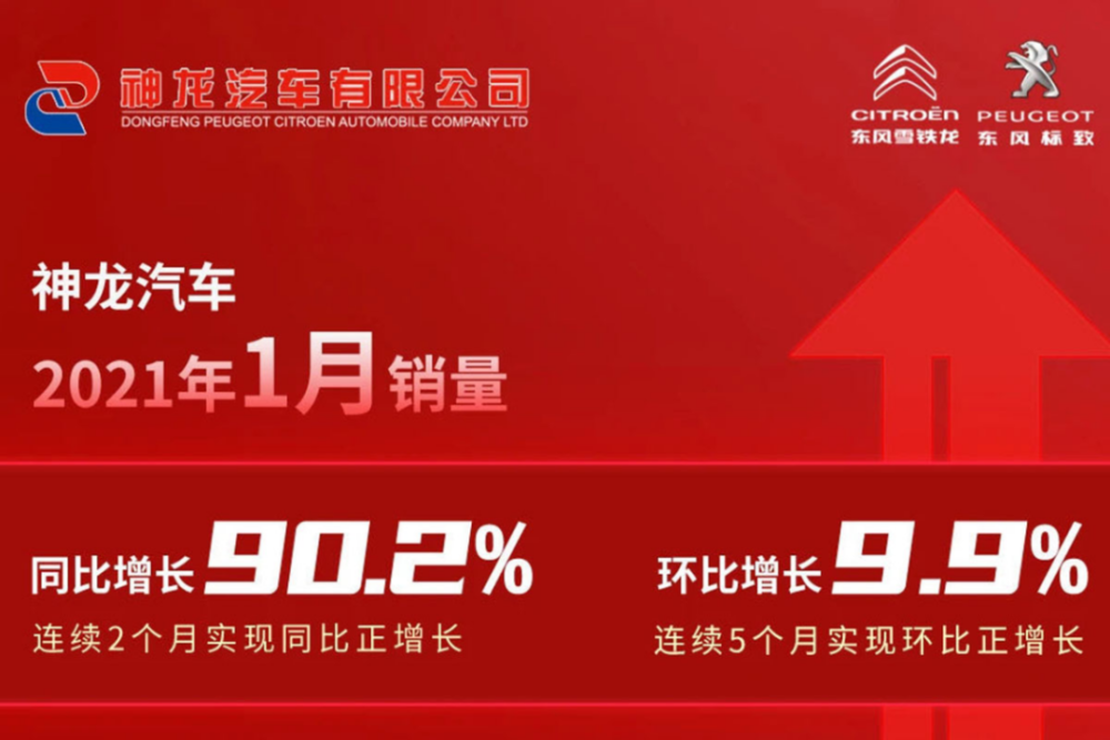2025澳門精準資料免費公開大揭秘——優(yōu)酷網(wǎng)獨家呈現(xiàn)，澳門精準資料大揭秘，獨家揭秘優(yōu)酷網(wǎng)免費公開內(nèi)容