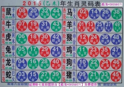 2025生肖49碼表圖片，2025年生肖49碼表圖片大全