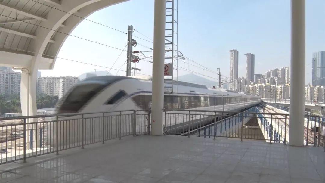 新澳門最精準(zhǔn)免費(fèi)大全最新，澳門最新精準(zhǔn)免費(fèi)大全資訊