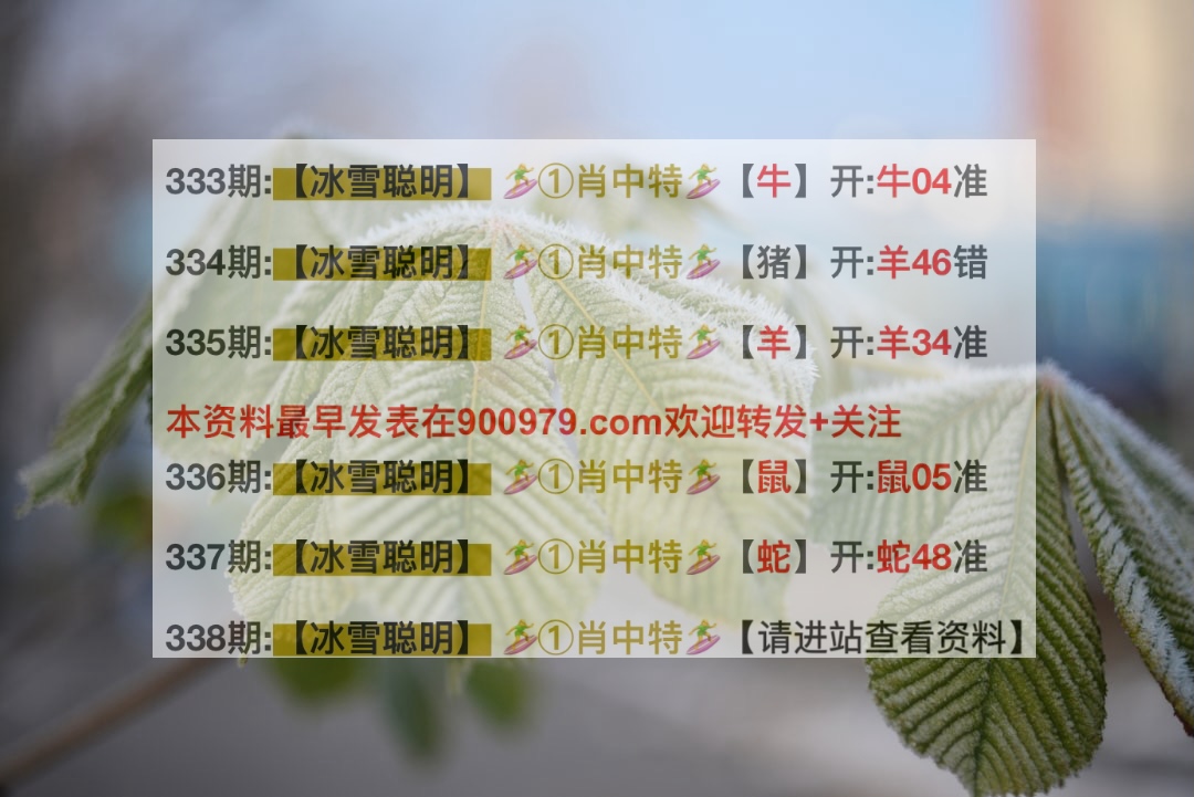 揭秘2025新澳精準(zhǔn)正版澳門碼，網(wǎng)絡(luò)熱門語(yǔ)言解讀，揭秘新澳正版澳門碼與熱門網(wǎng)絡(luò)語(yǔ)言解讀，預(yù)測(cè)未來(lái)的趨勢(shì)與秘密