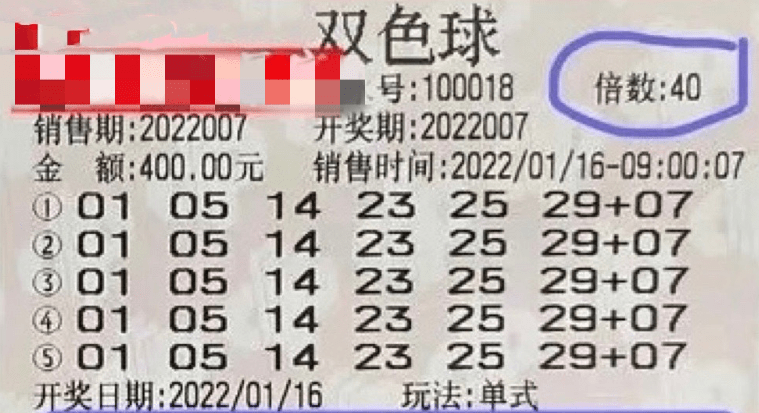 2025新澳門特馬今晚開獎掛牌，澳門特馬今晚開獎掛牌結(jié)果揭曉，2025新一期揭曉在即